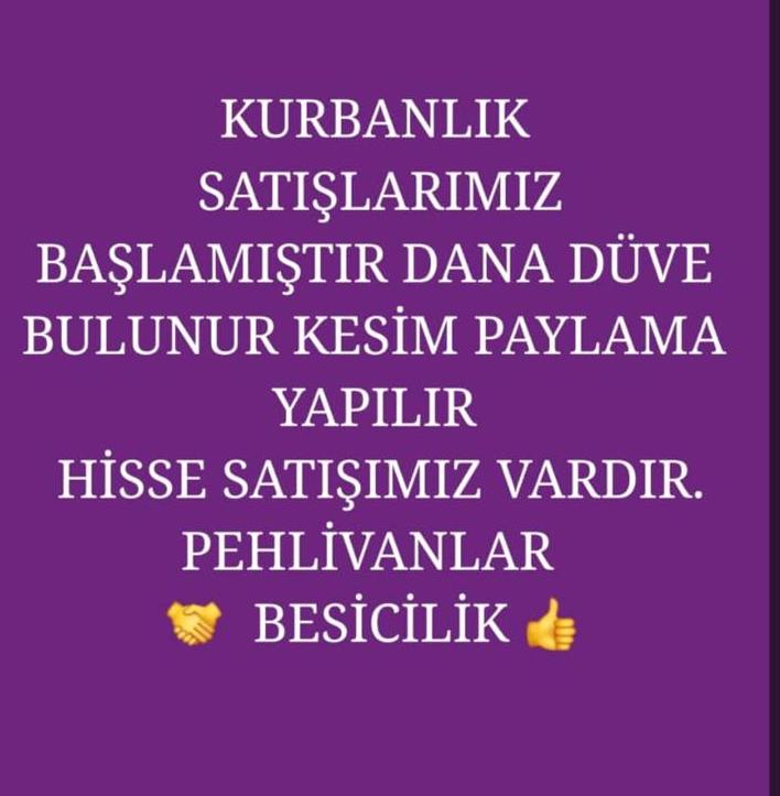 Pehlivanlar Besicilik